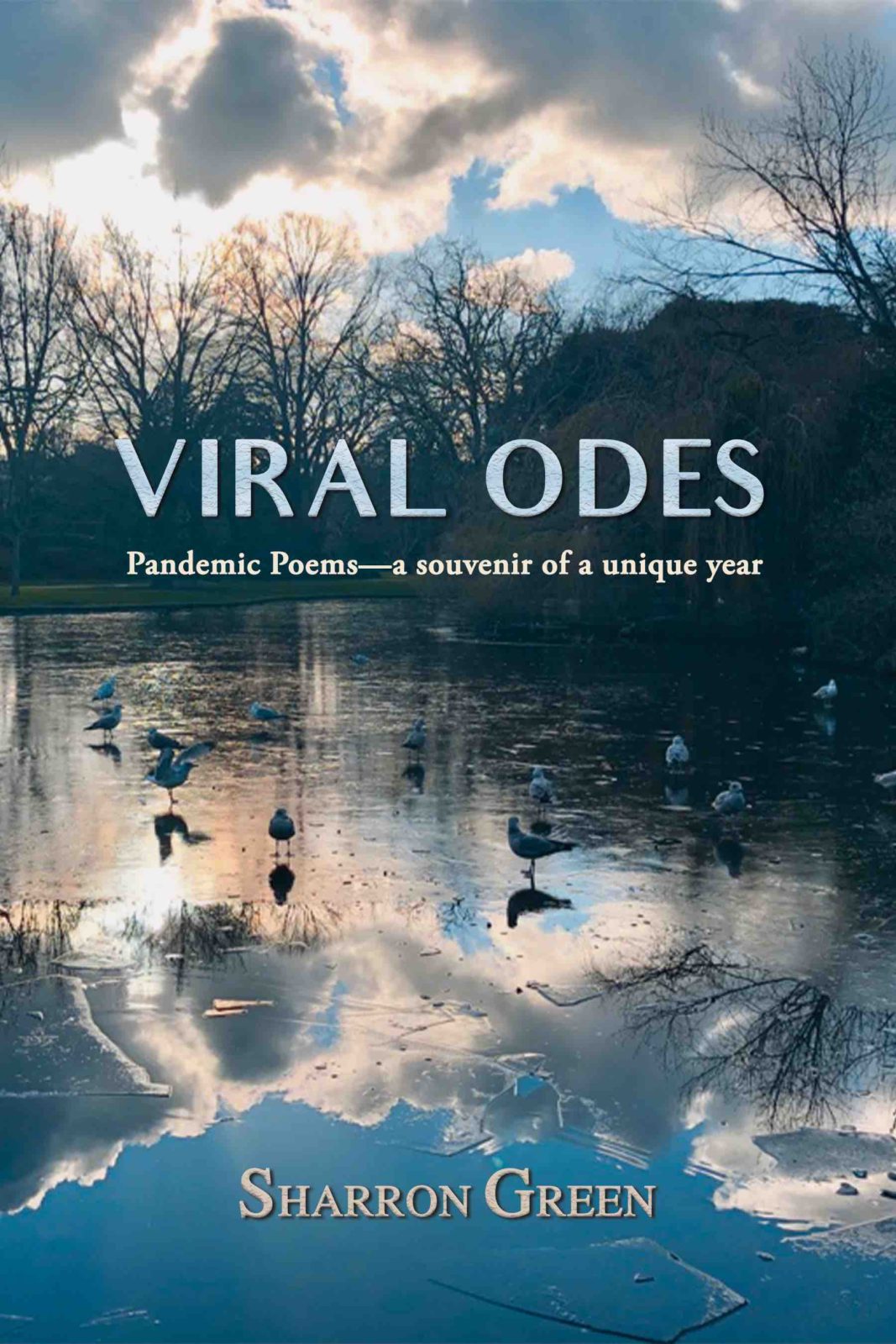 Book Title