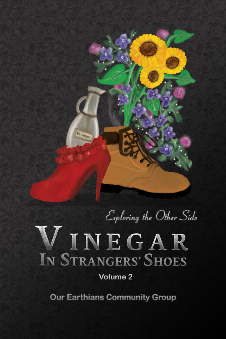 #2 Vinegar In A Strangers' Shoes