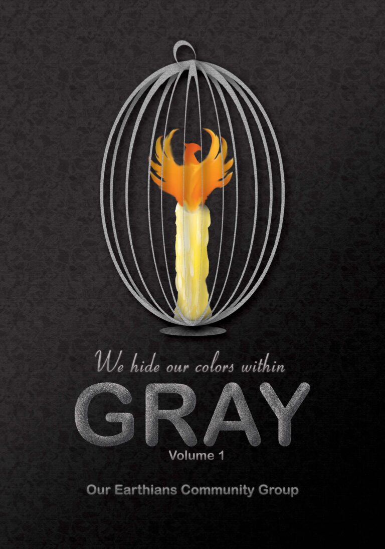 #1 Gray: We Hide Our Colors Within
