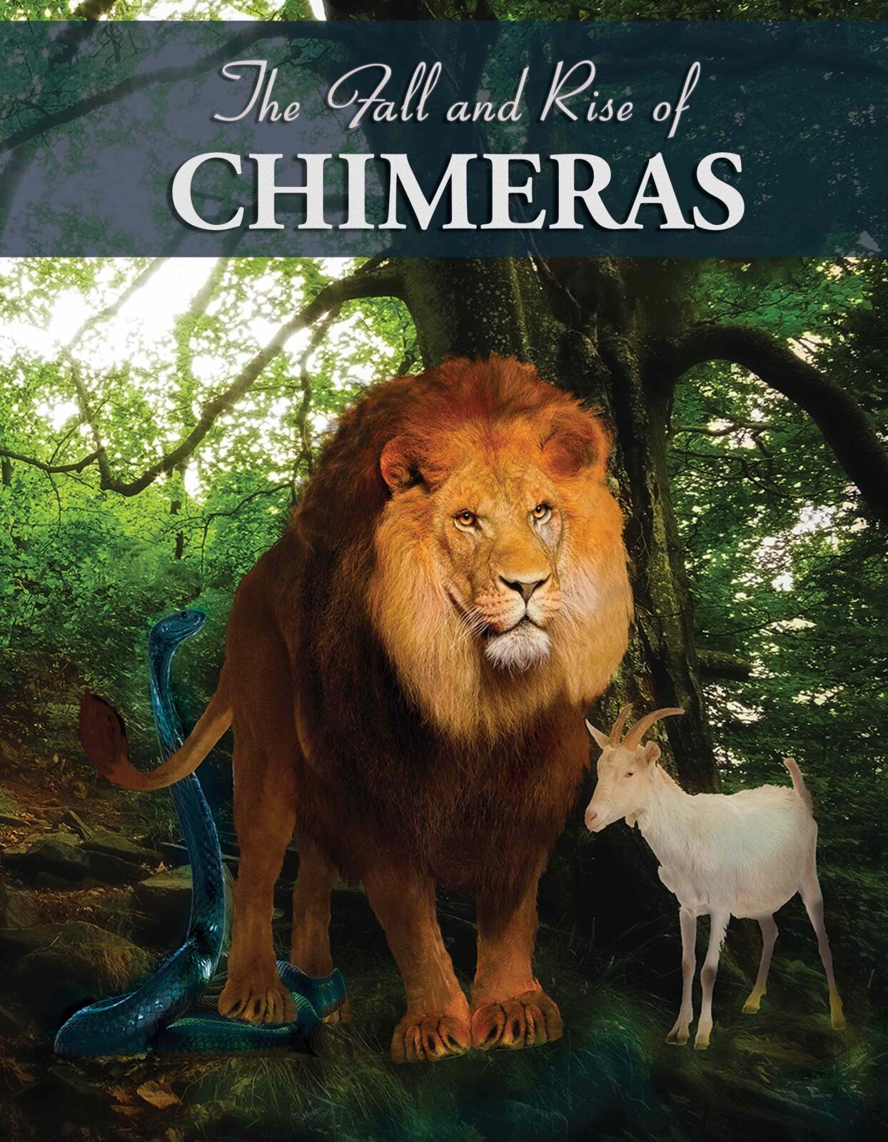 Book Title